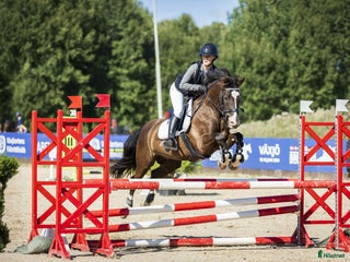 Allround hästar till salu: Trevlig & trygg ponny i Eldsberga - Annons 1