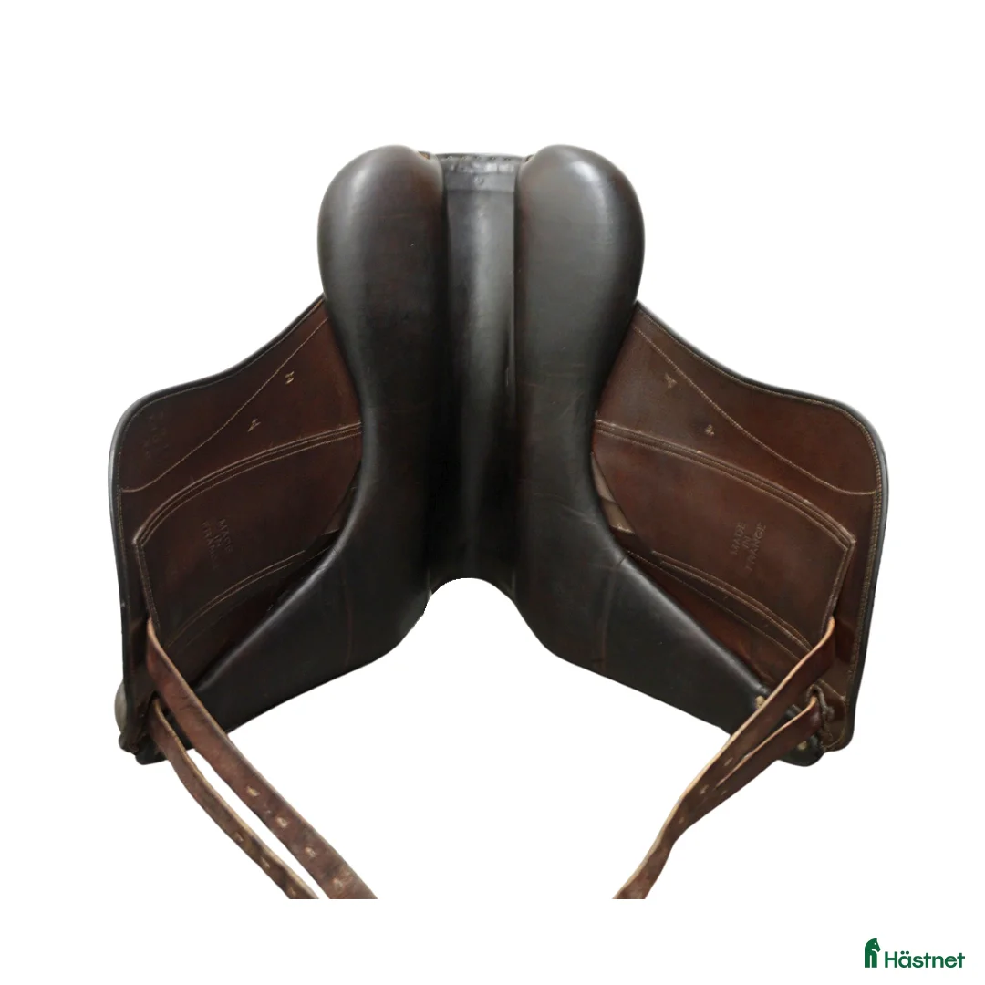 Sadlar hästutrustning till salu: Childeric Dressage 18,5" - Annons 6