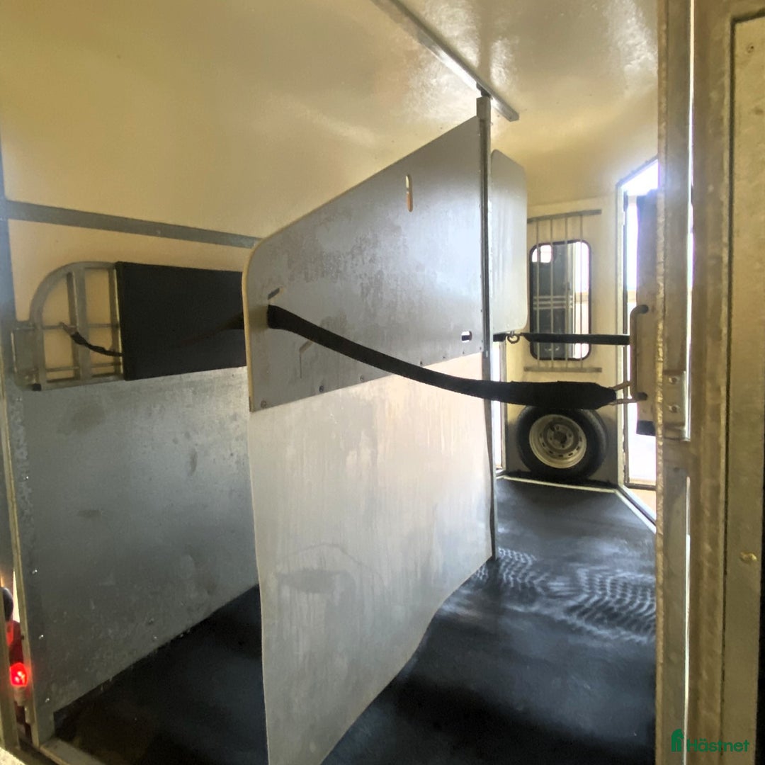 Hästtransporter  fordon & transport till salu: Välskött Fautras Provan i Kvicksund - Annons 11