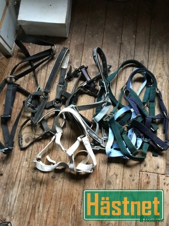 Övrig Hästutrustning hästutrustning till salu: Grimmor - shettis och ardenner i Långasjö - Annons 1