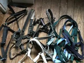 Övrig Hästutrustning hästutrustning Grimmor - shettis och ardenner i Långasjö - Annons 3