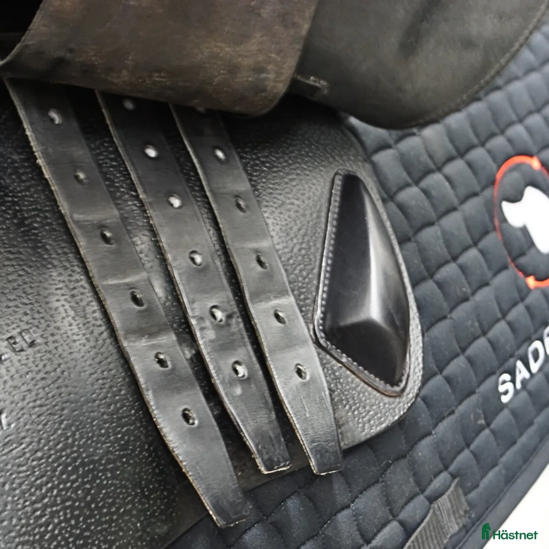 Sadlar hästutrustning till salu: CWD SE02 17,5" 3C i Upplands Väsby - Annons 7