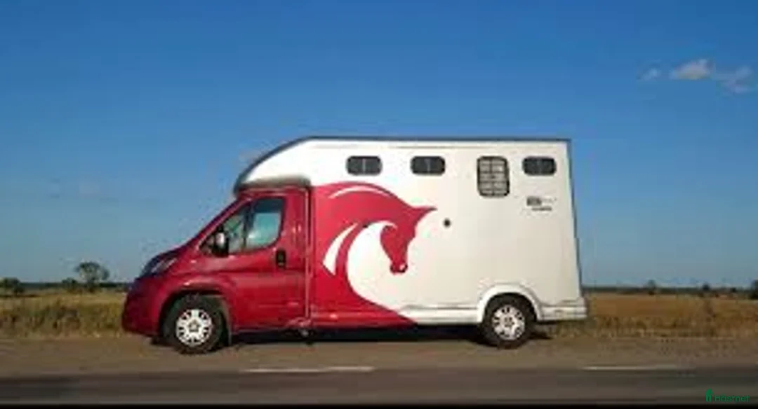 Hästtransporter  fordon & transport till salu: Equi-Trek Peugeot Boxer på B-körkort 3-sits i Handen - Annons 1