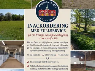 stallplats Fullservice för avelsston & konvalescenter - Annons 13