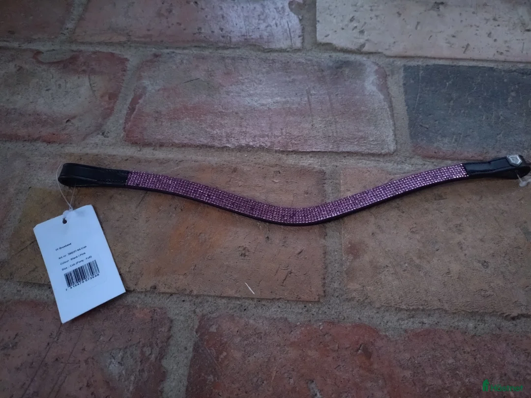 Träns hästutrustning till salu: Oanvänt rosa pannband  - Annons 1