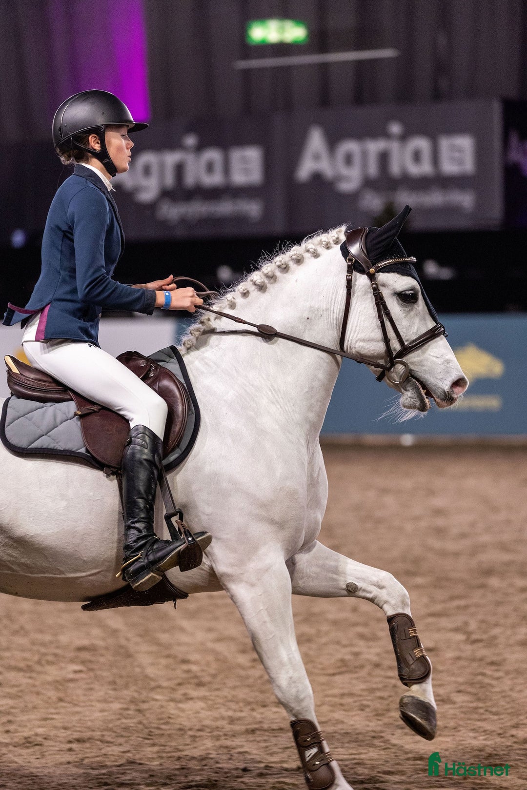 Hoppning hästar till salu: Topp kat.1 ponni til salgs i Bryne - Annons 15