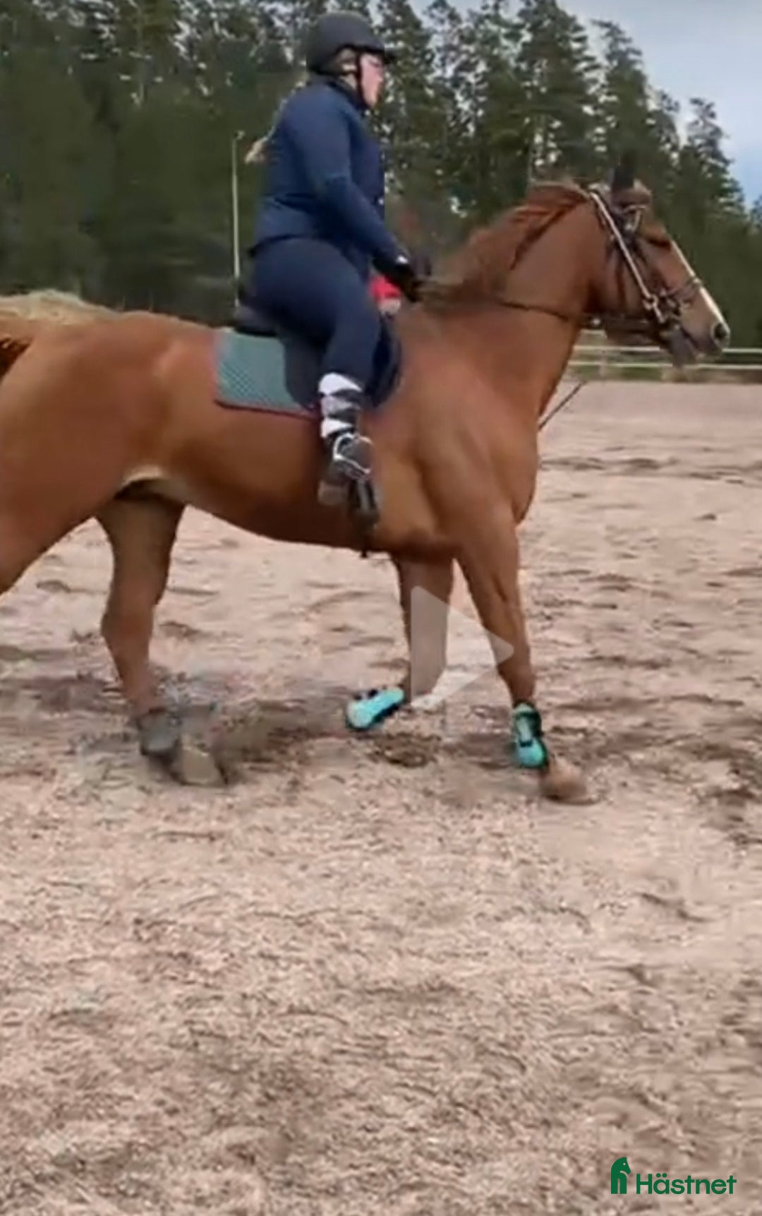  medryttarhäst sökes: Medryttarhäst Sökes runt vaggeryd i Skillingaryd - Annons 2