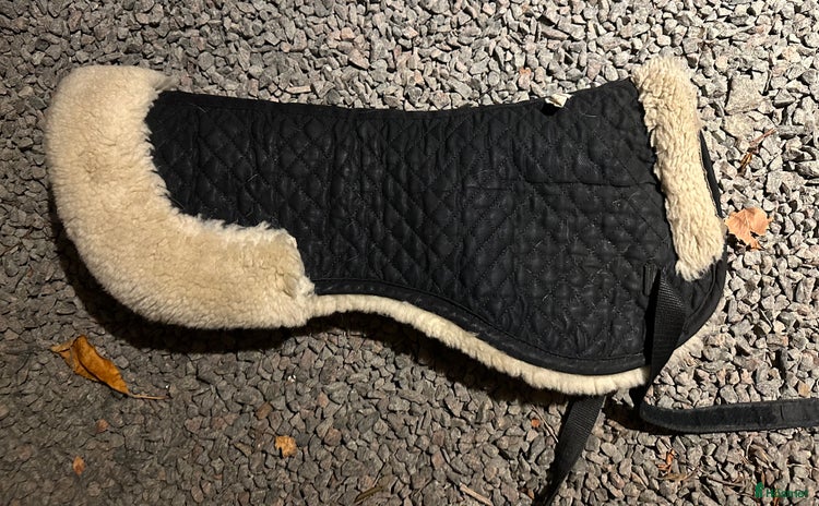 Sadeltillbehör hästutrustning till salu i Jonstorp - Annons 16