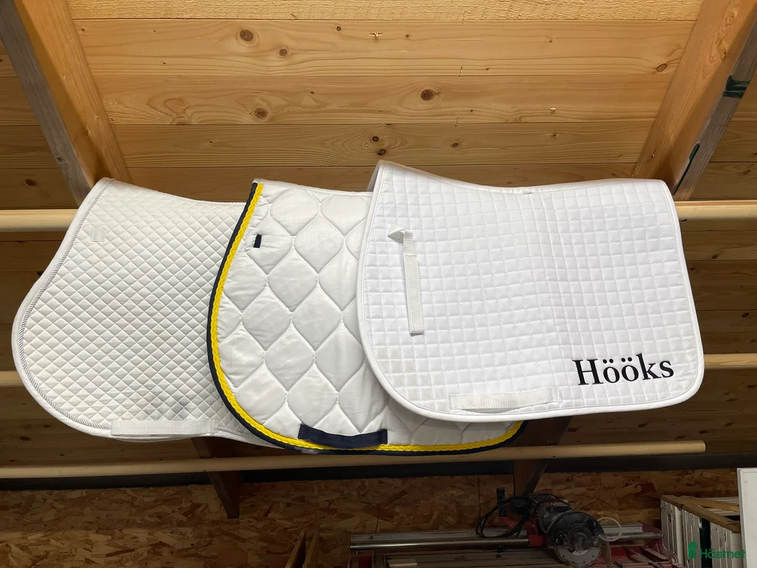 Schabrak & Vojlockar hästutrustning till salu: Diverse allround/hopp schabrak i Staffanstorp - Annons 4