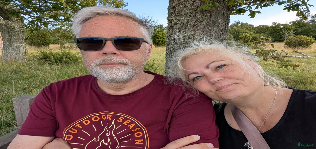 Galleribild {{count}}