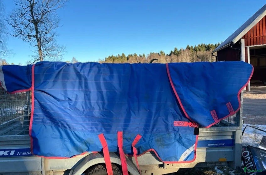 Täcken hästutrustning Horsewear Amigo Bravo 145 - Annons 8