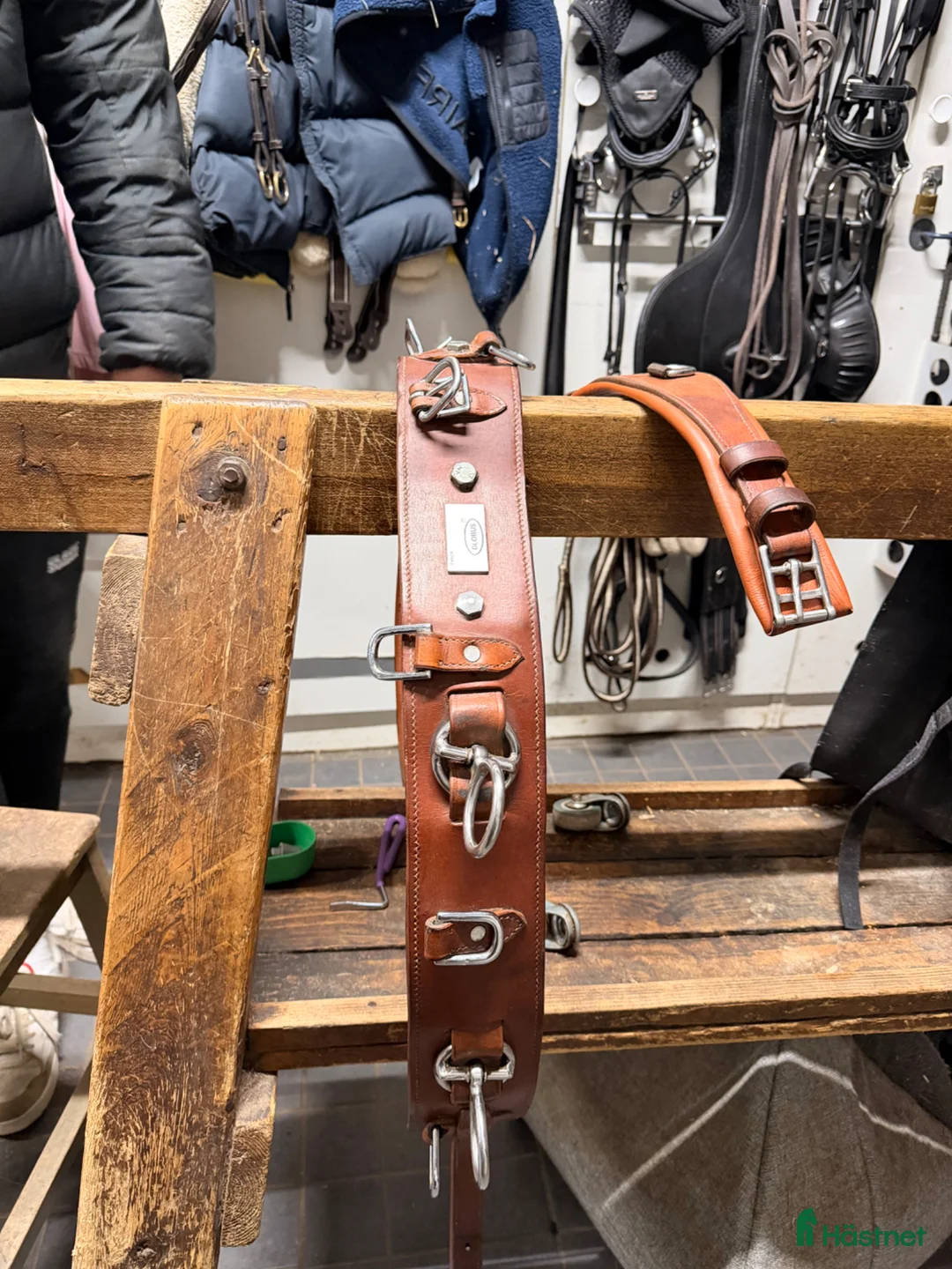 Övrig Hästutrustning hästutrustning till salu: Globus Tömkörningsgjord full  - Annons 3