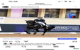 Dressyr hästar till salu: Fantastisk häst för Lilla Rundan/J/YR i Linköping - Annons 3