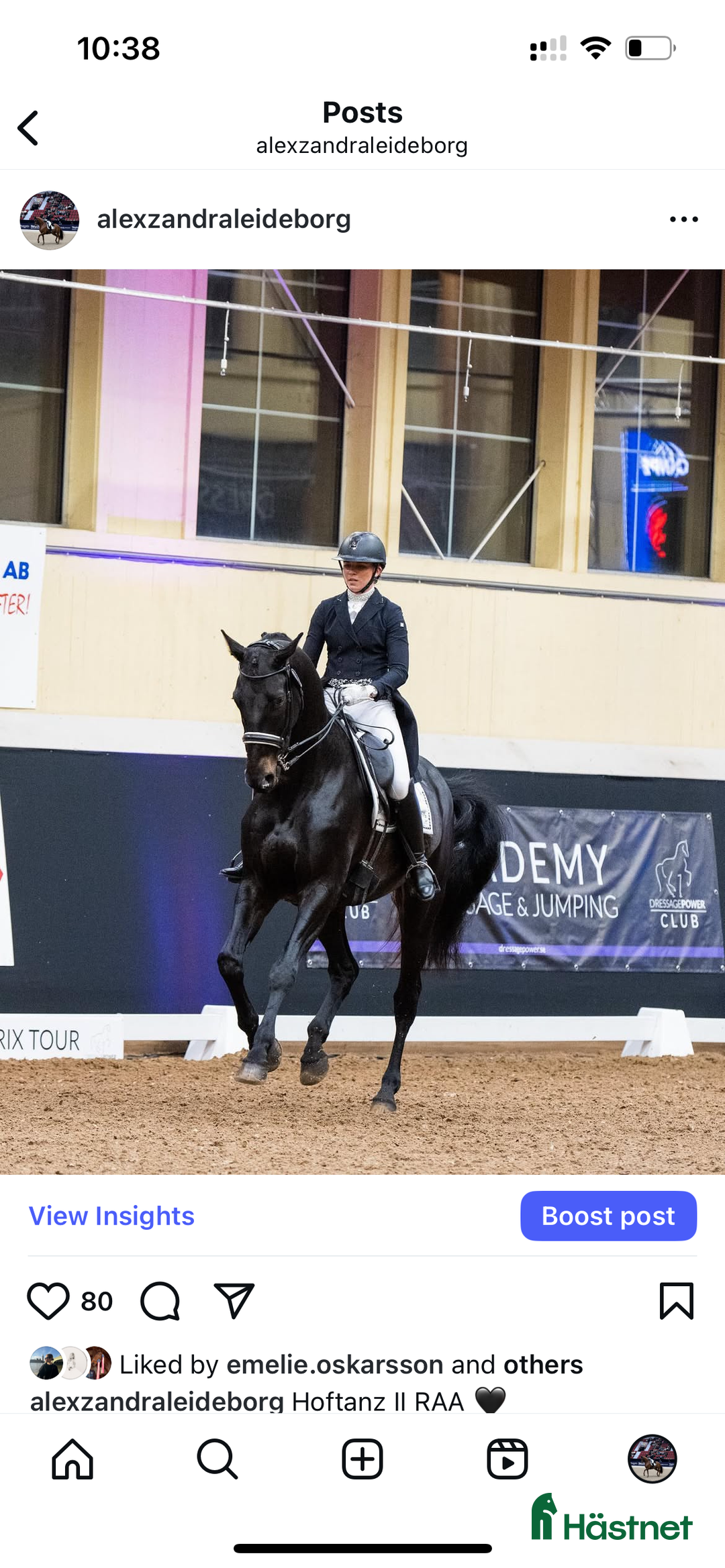 Dressyr hästar till salu: Fantastisk häst för Lilla Rundan/J/YR i Linköping - Annons 3