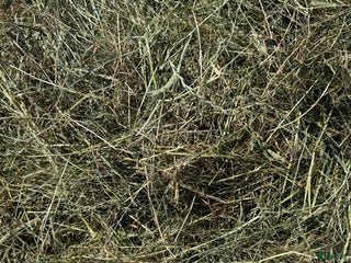 Övrig utrustning övrig utrustning till salu: Hösilage säljes i Heberg - Annons 1