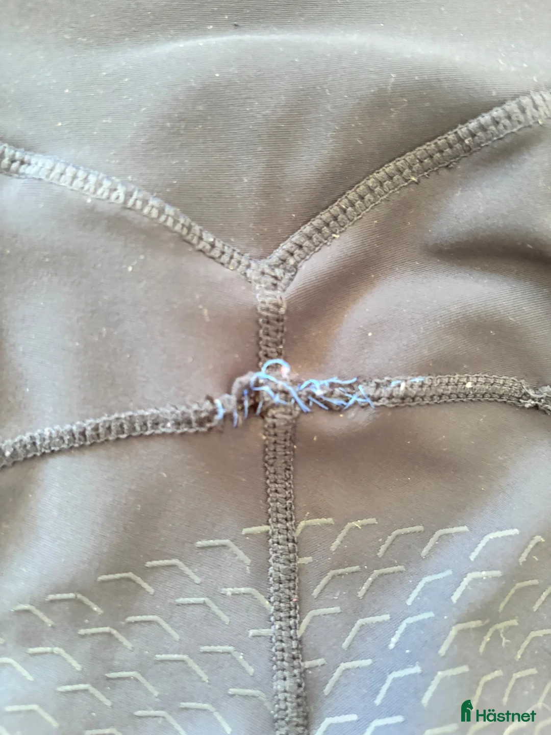 Övrig Hästutrustning hästutrustning till salu: Alequi tights 2 par blå och gröna  - Annons 6