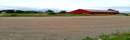  stallplats finnes: Lösdrift-valackflock - Annons 15