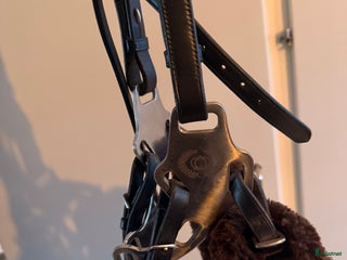 Träns hästutrustning till salu: Psof hackamore i Grödinge - Annons 9