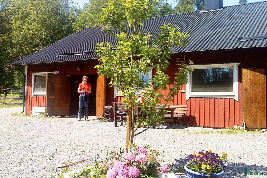  stallplats finnes: Lång utevistelse och ridhus i Sollentuna i Sollentuna - Annons 1