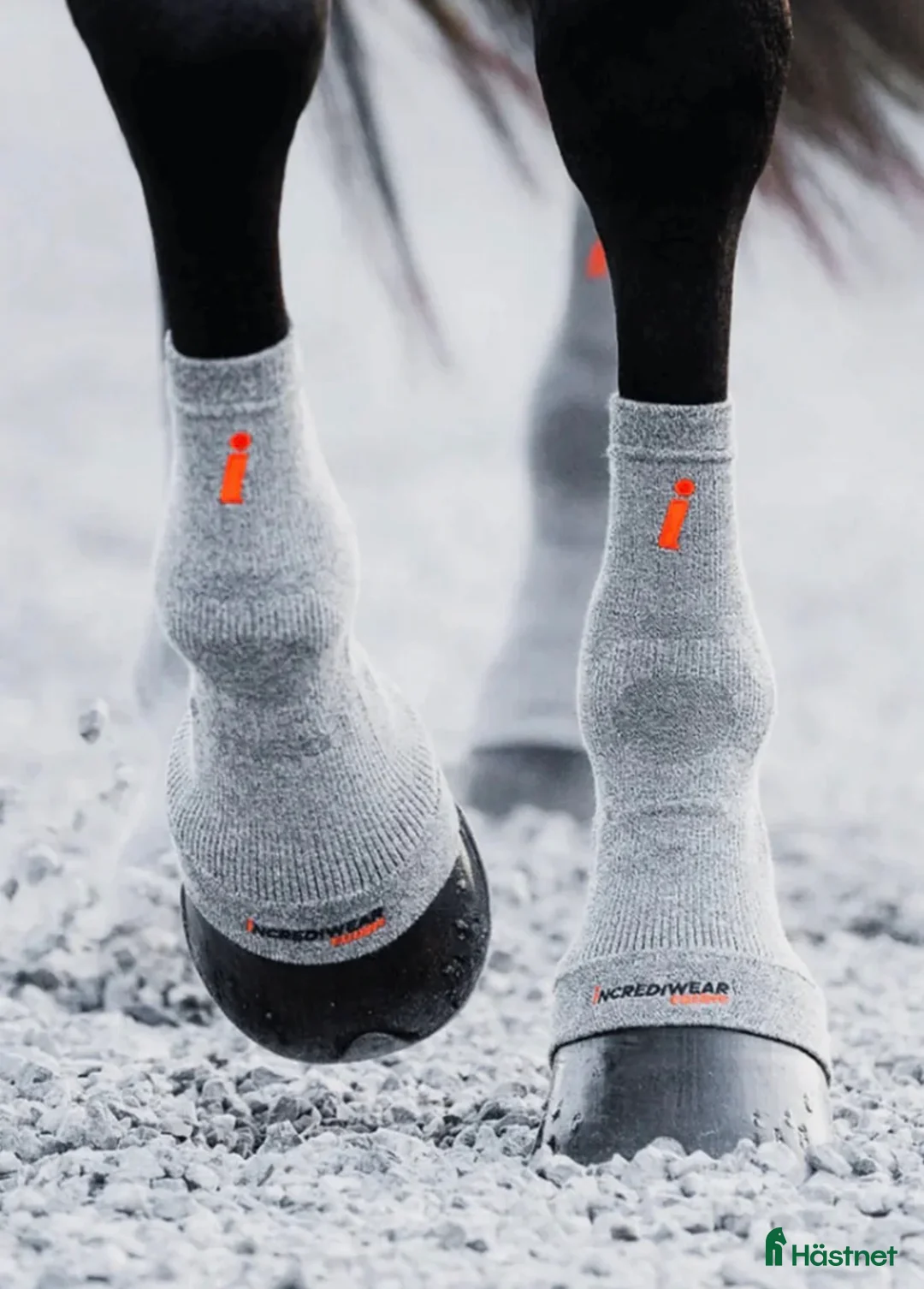 Övrig Hästutrustning hästutrustning till salu: Incrediwear Kylstrumpor  i Åstorp - Annons 1