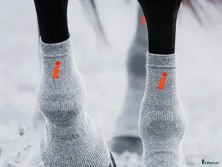 Övrig Hästutrustning hästutrustning Incrediwear Kylstrumpor i Åstorp - Annons 21