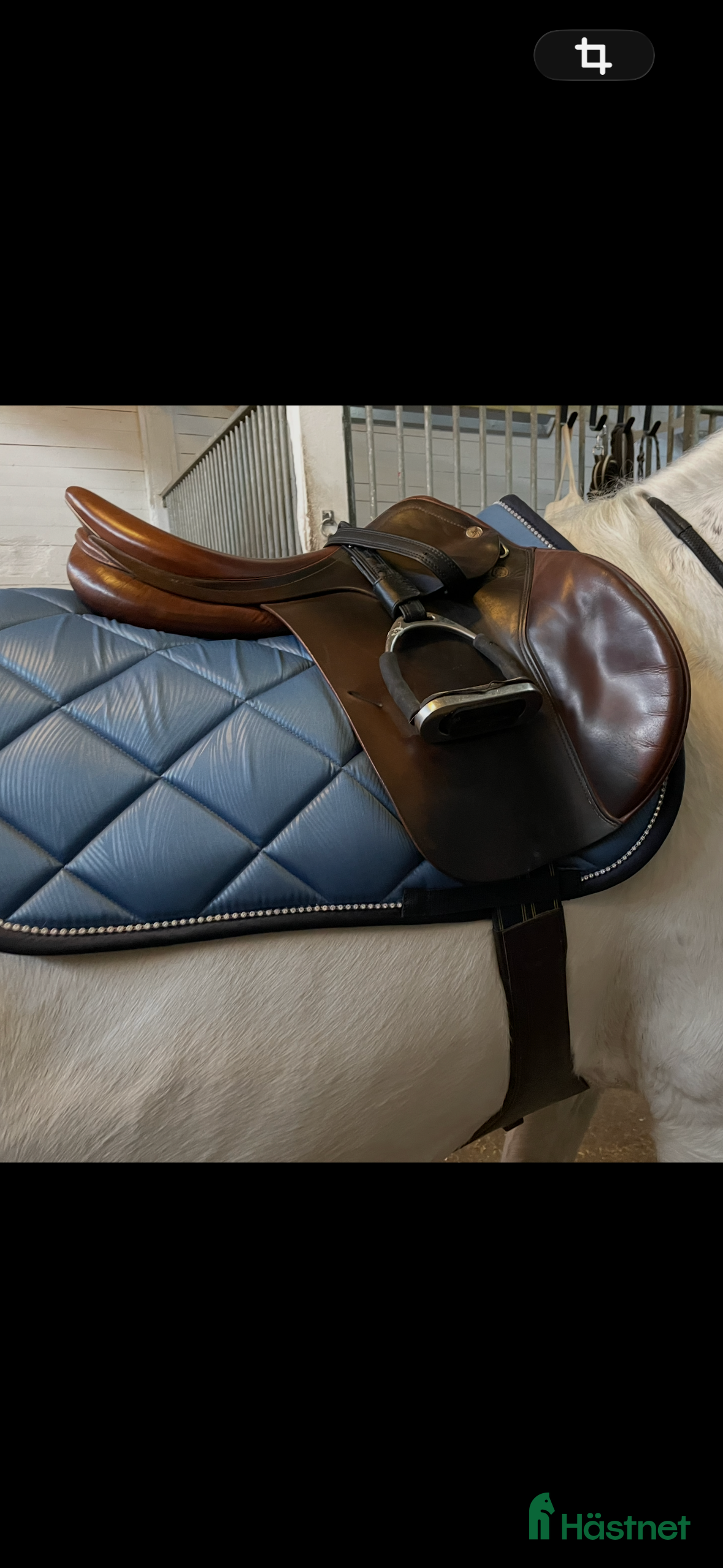 Sadlar hästutrustning Super fin prestige golden star i Västerås - Annons 1