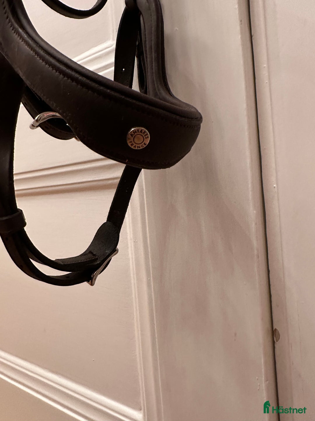 Träns hästutrustning till salu: Antares - precision Y-nosgrimma i Stockholm - Annons 7