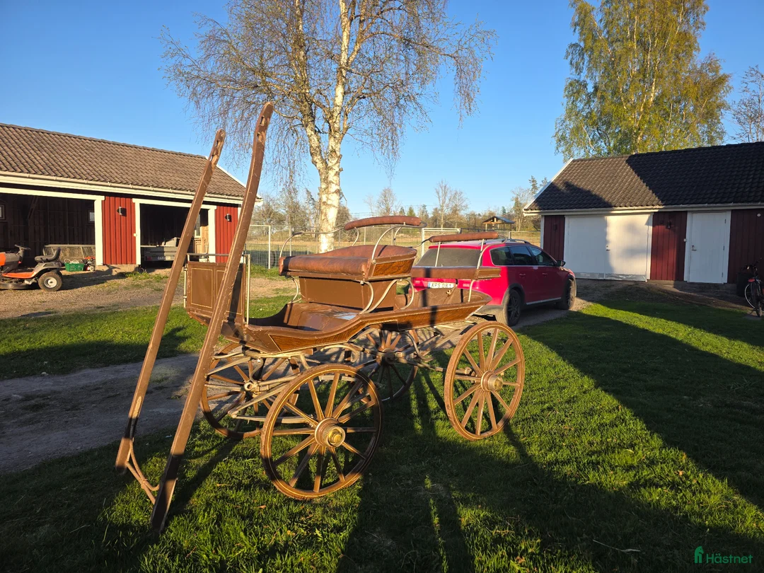 Körvagnar körning till salu: Välskött körvagn - Annons 1