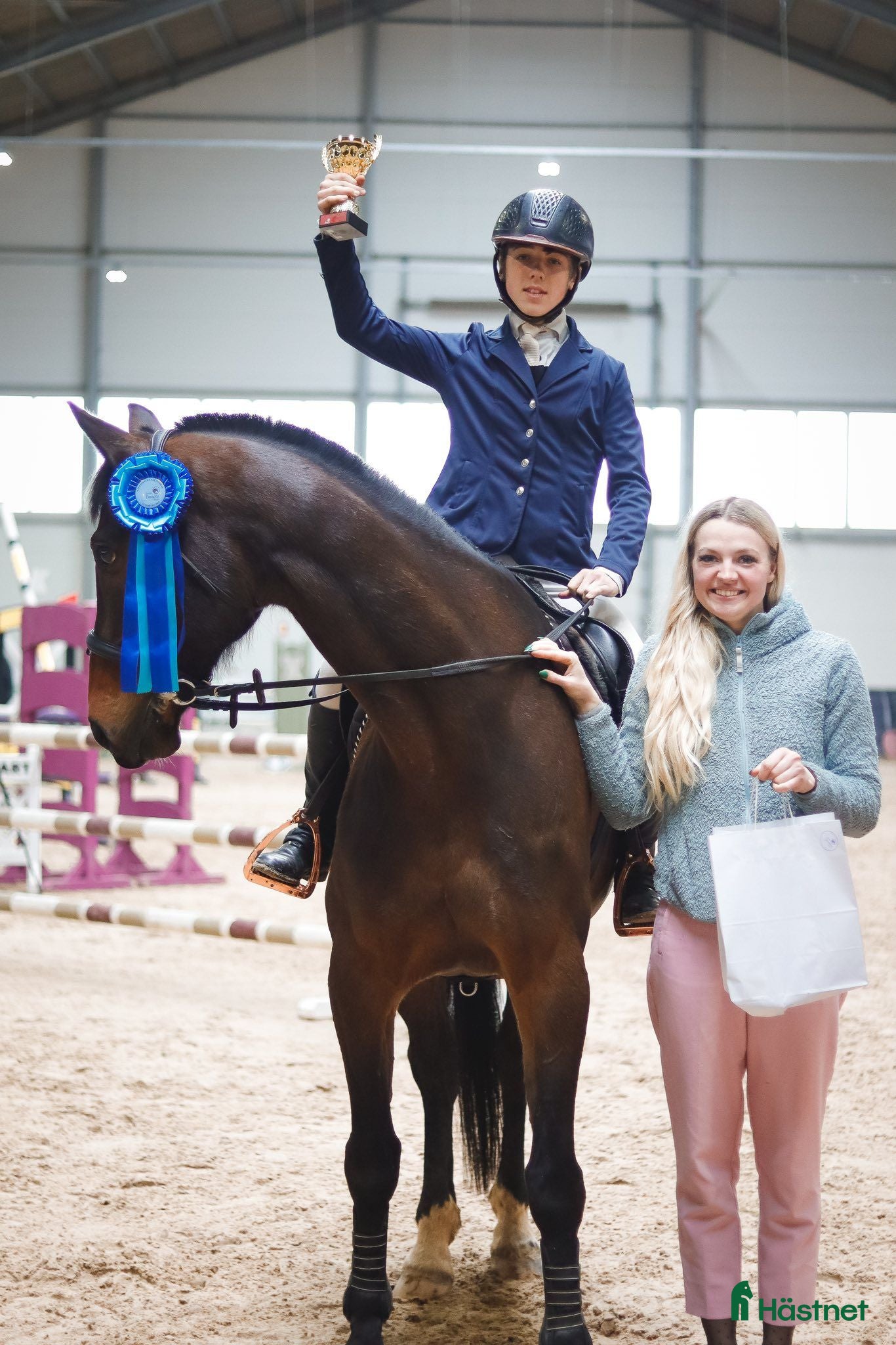  hästar showjumping-dressur schoolmaster - Annons 14