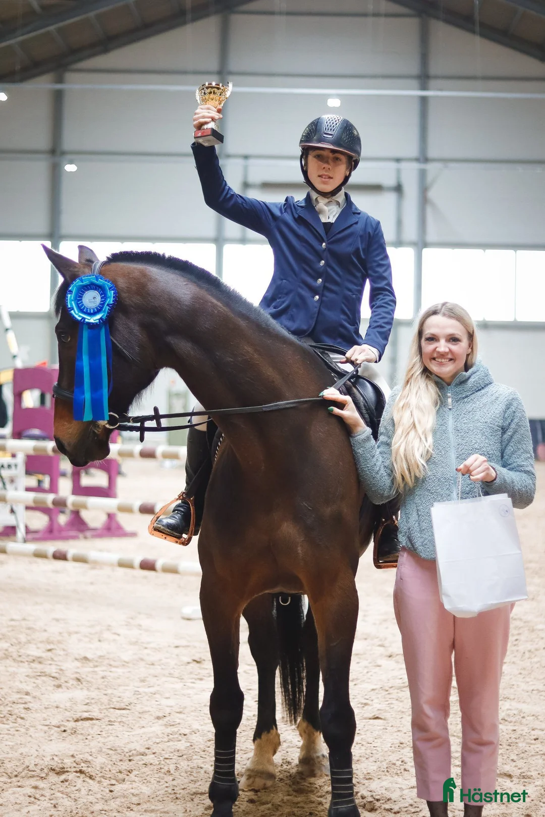 Hoppning hästar till salu: showjumping-dressur schoolmaster - Annons 1