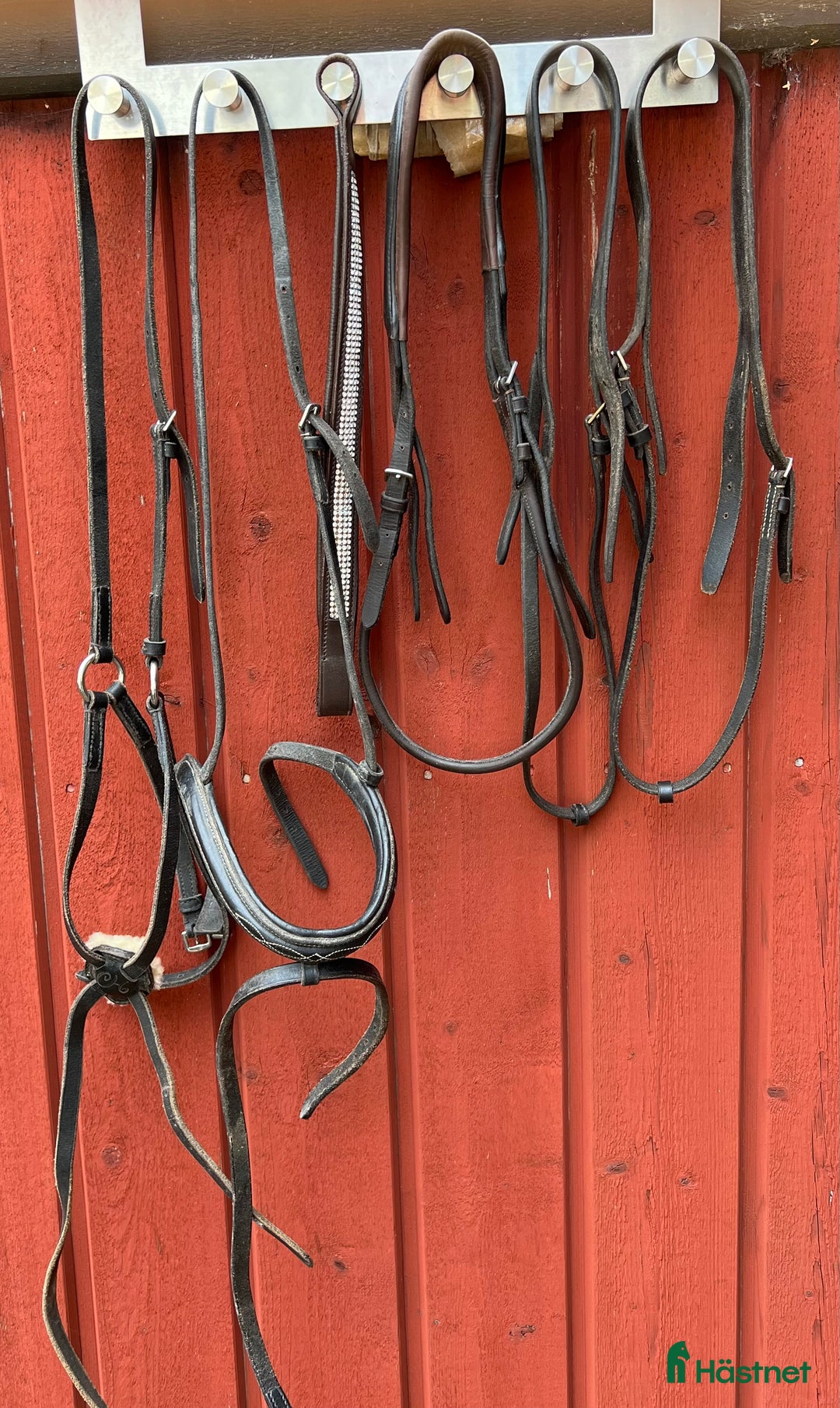 Träns hästutrustning till salu: Träns, bett, tyglar och diverse tränsdelar i Sandviken - Annons 5