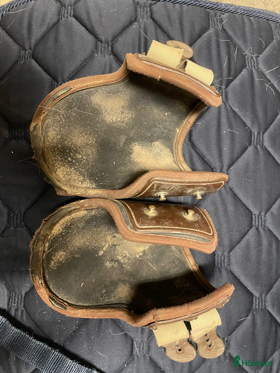 Benskydd hästutrustning till salu: Veredus bakskydd - Annons 4