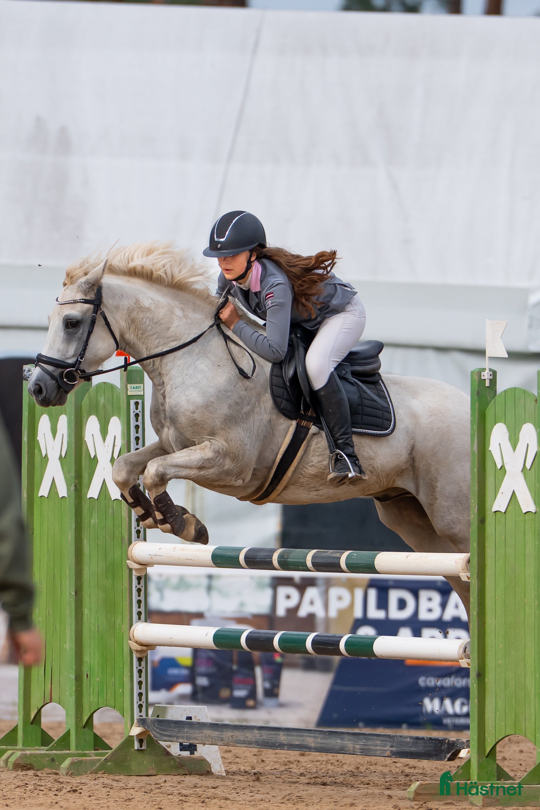  hästar Conemara sport pony - Annons 9