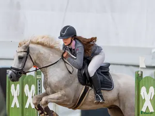 hästar Conemara sport pony - Annons 9