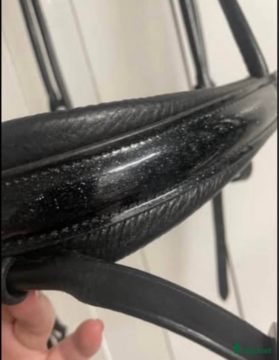 Träns hästutrustning till salu: Sd design träns full i Landskrona - Annons 3