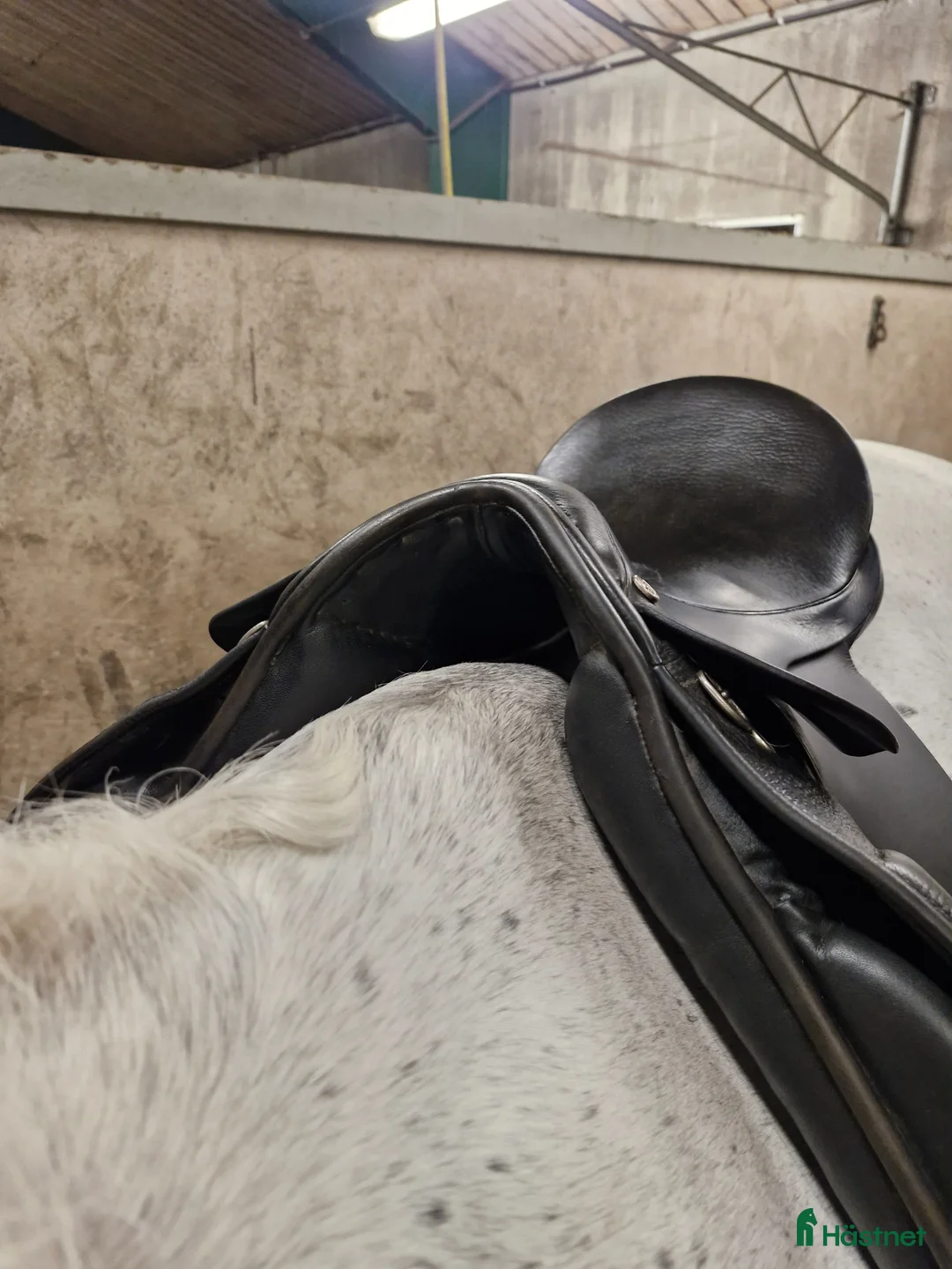 Sadlar hästutrustning till salu: County Dressyr sadel - Annons 2