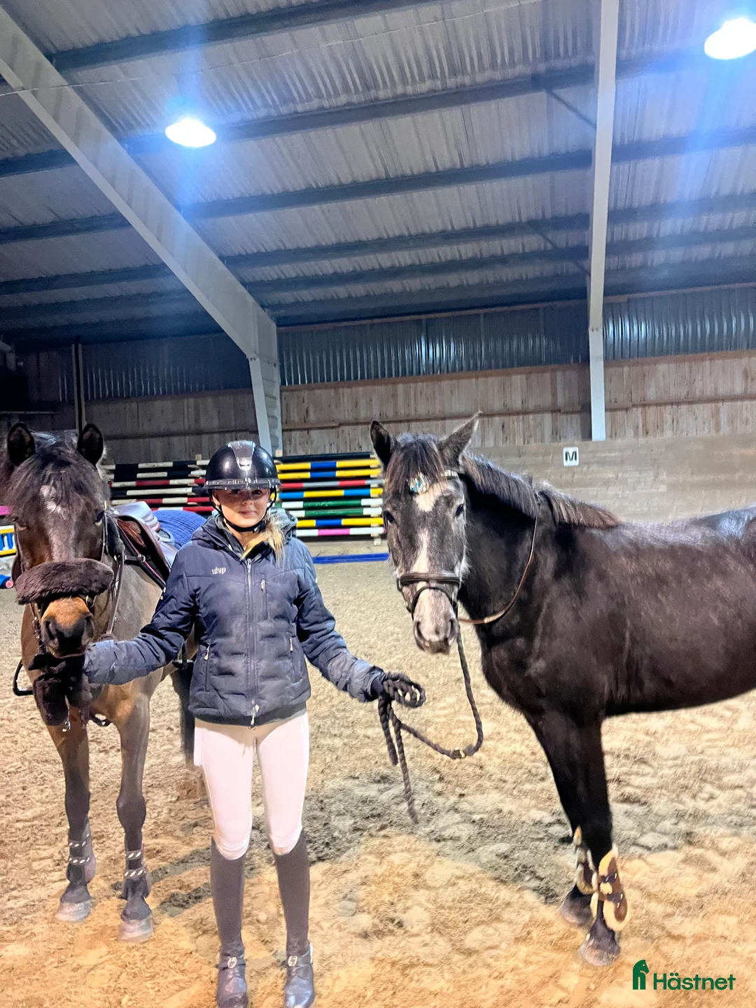  hästservice finnes: Inridning, tillridning och utbildning av ponnys  i Lerum - Annons 1