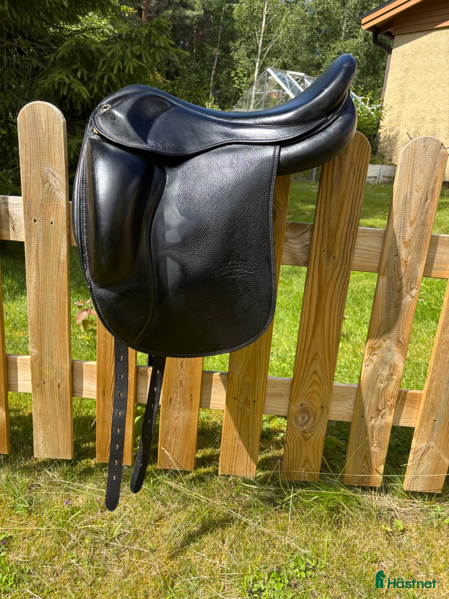 Sadlar hästutrustning Töltrider Glampi  - Annons 5