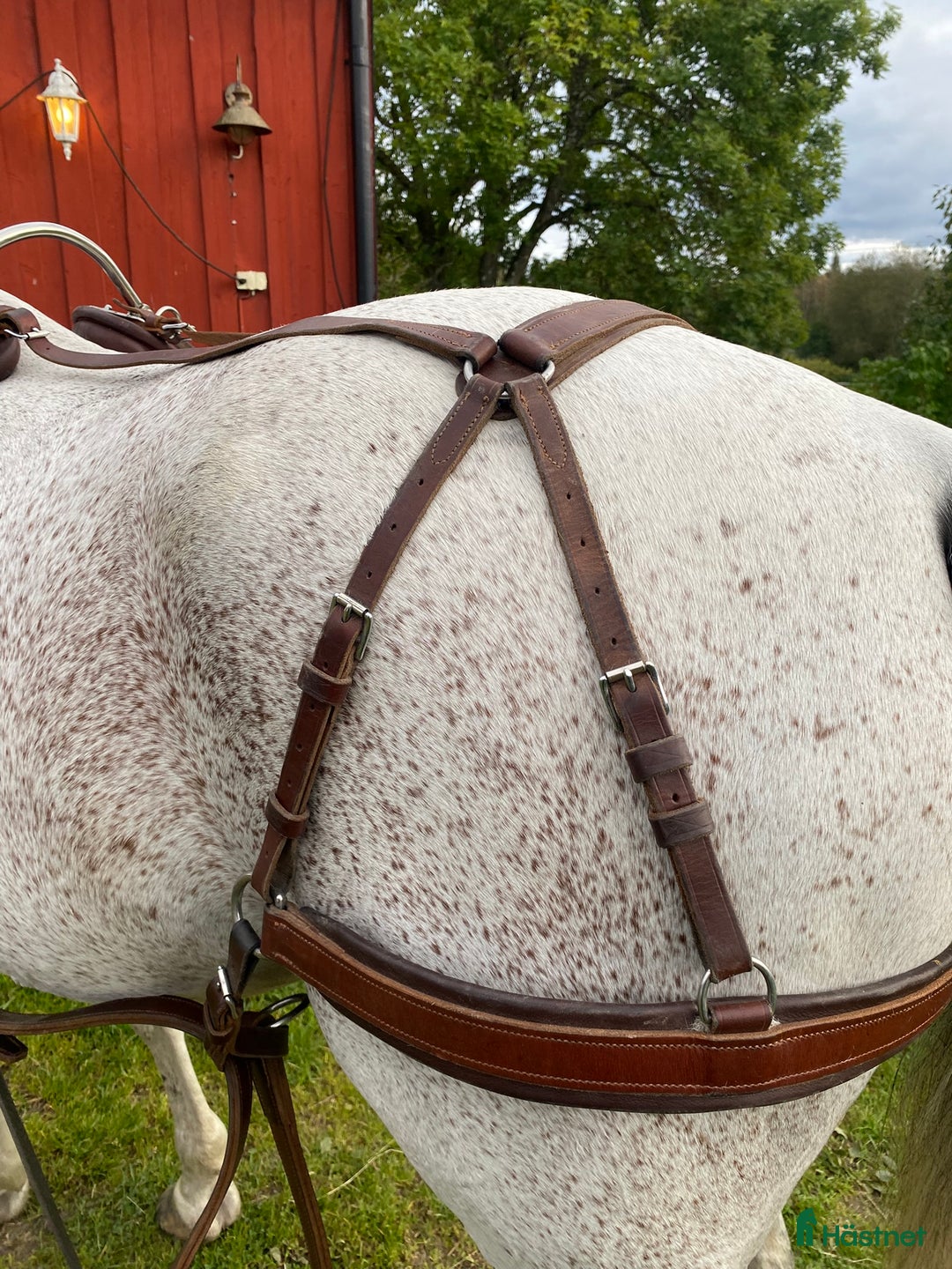 Körselar körning till salu: Komplett nästan ny Svenljunga sele med huvudlag i Kungälv - Annons 4