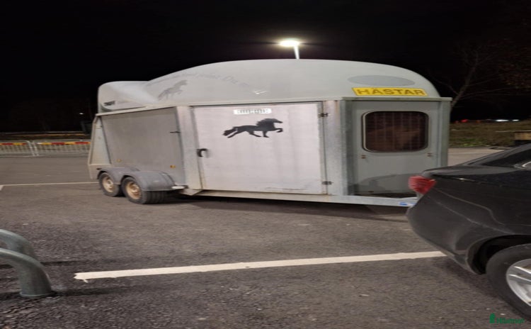 Hästtransporter  fordon & transport till salu i Vagnhärad - Annons 11