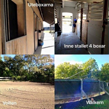 stallplats i Malmö - Annons 12