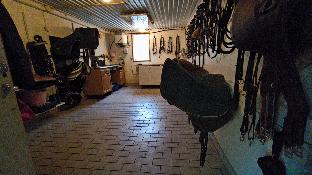  stallplats finnes: Stallplatser i Falköping  - Annons 3