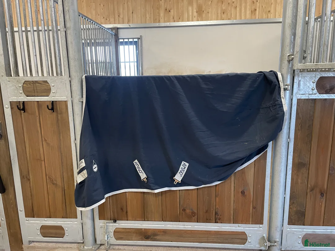 Täcken hästutrustning till salu: Amigo Täcke - Annons 1