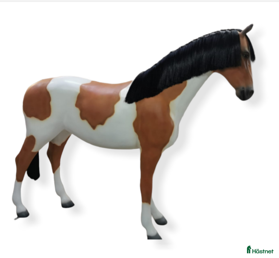 Hästinspirerad heminredning övrig utrustning till salu: Unika glasfiberhästar i naturlig storlek i Luleå - Annons 6