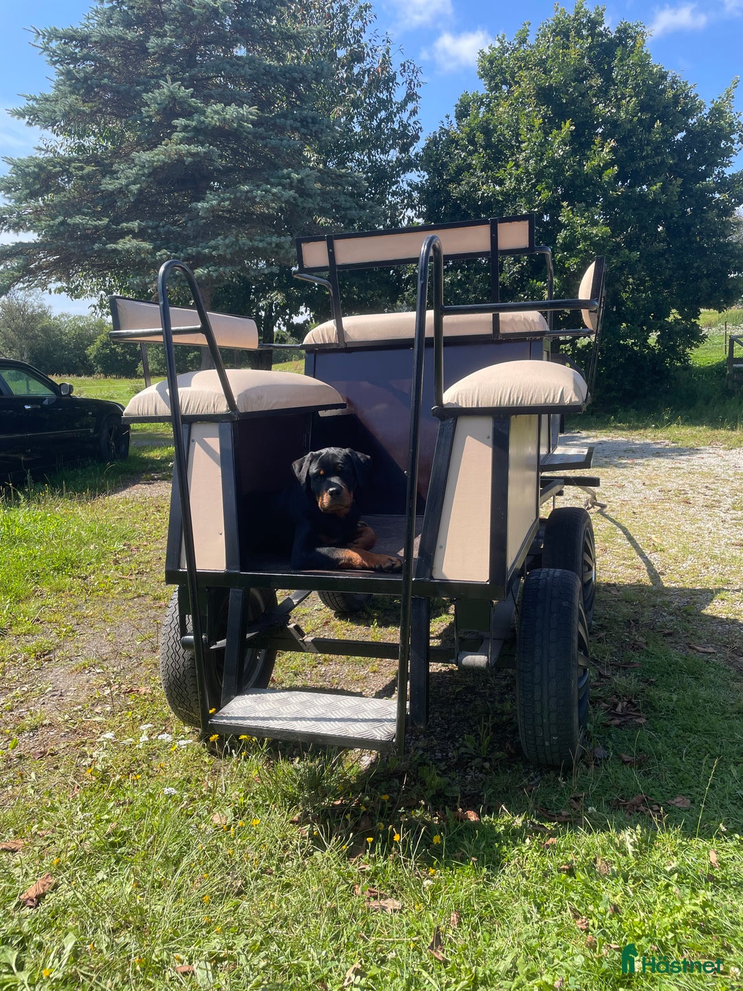 Körvagnar körning till salu: Fin hästvagn  i Klågerup - Annons 3