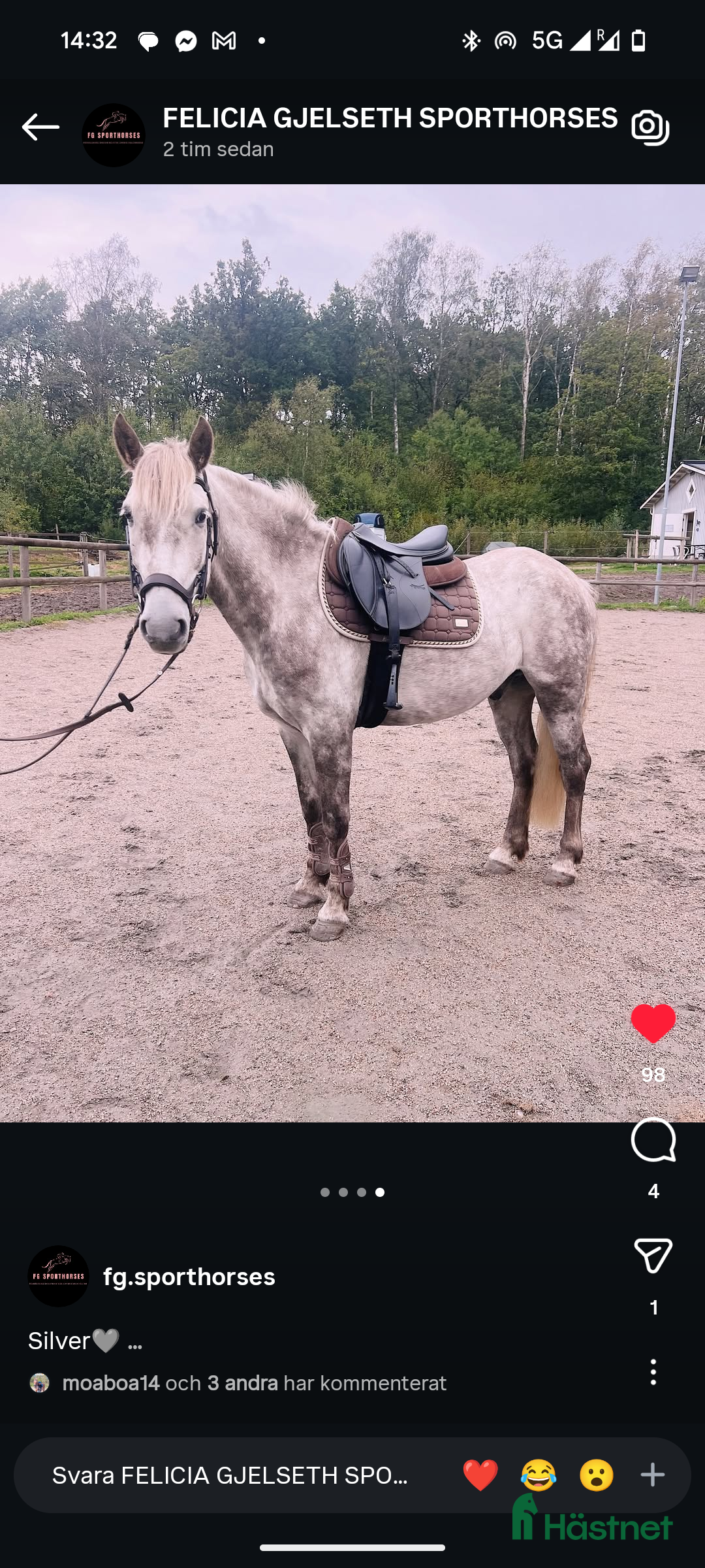  hästar Super cool ungponny 🌟 i Uddevalla - Annons 14