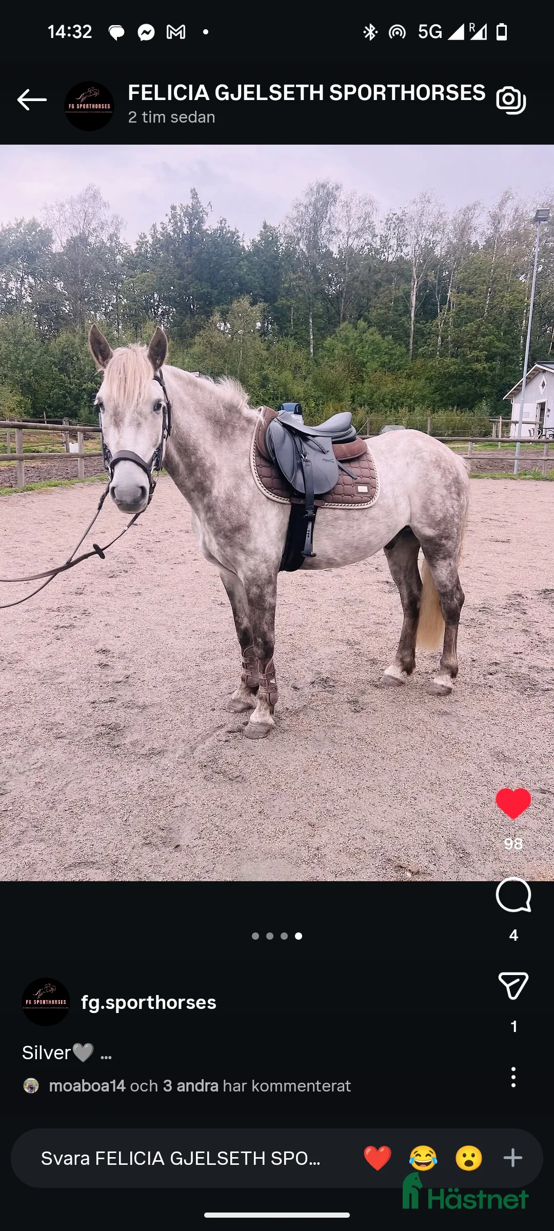 Hoppning hästar till salu: Super cool ungponny 🌟 i Uddevalla - Annons 1