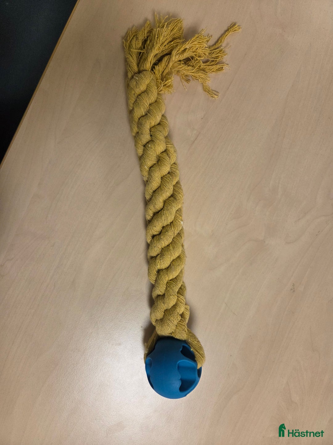 Övrig Hästutrustning hästutrustning till salu: Söker grimskaft till UF i Rånäs - Annons 1