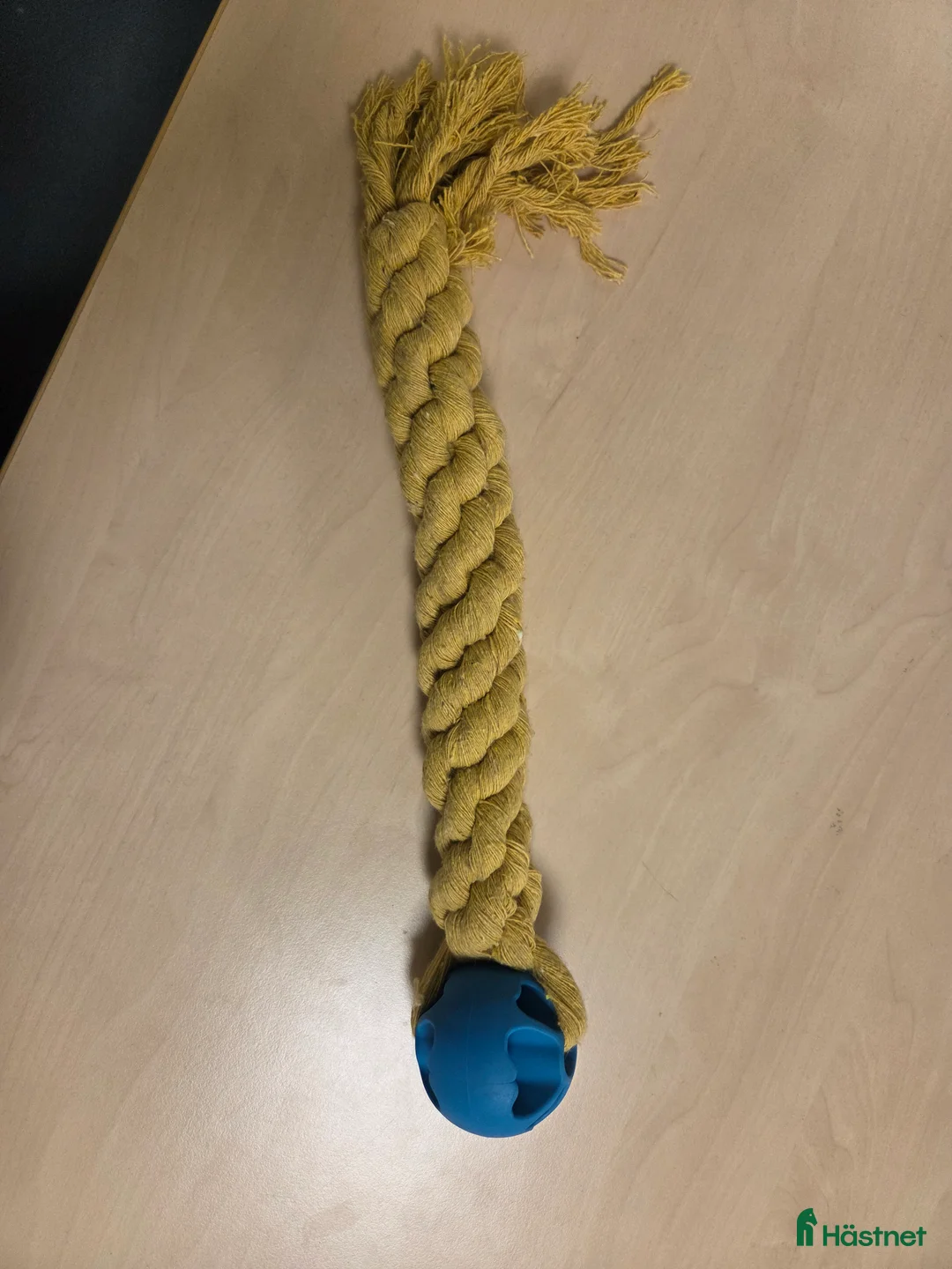 Övrig Hästutrustning hästutrustning till salu: Söker grimskaft till UF - Annons 1