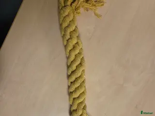 Övrig Hästutrustning hästutrustning Söker grimskaft till UF - Annons 11